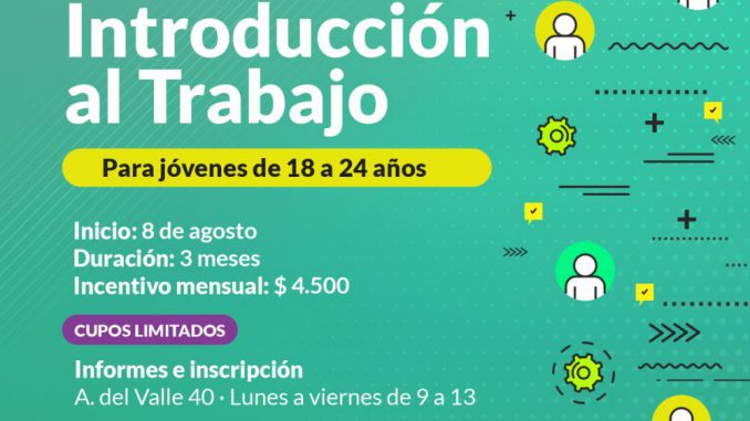 Curso Introduccion al trabajo