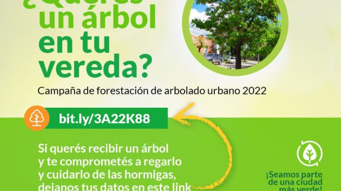 Forestacion 2022