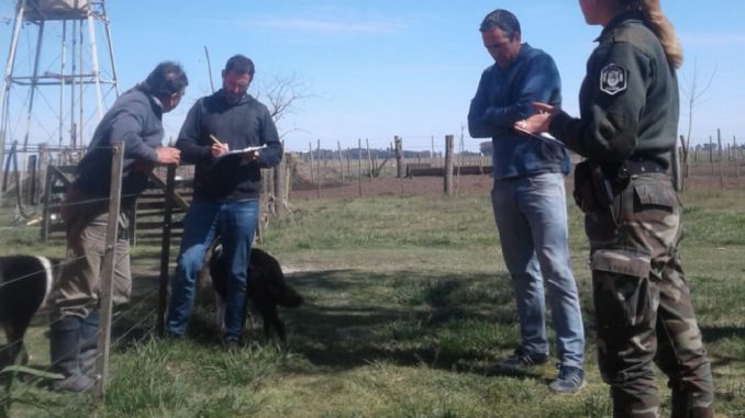 CPR en la zona rural 1