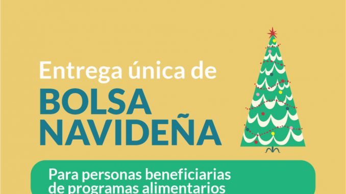 Bolson Navideño 2022 - 1