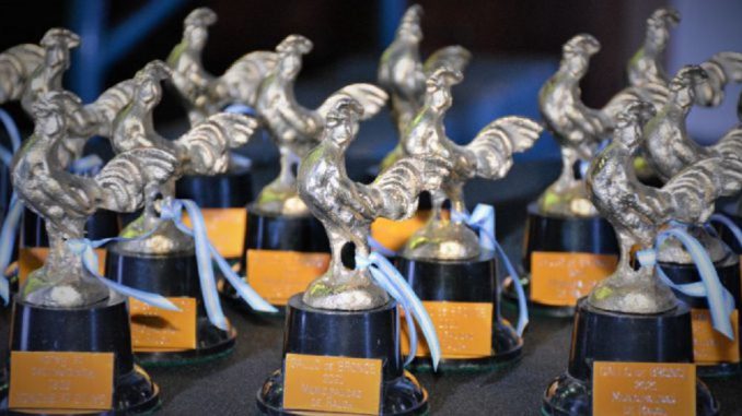 Estatuillas Premios Gallo
