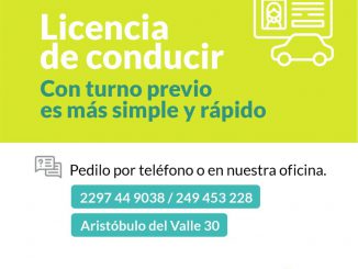 Licencias de Conducir 1