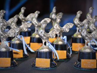 Premios Gallos