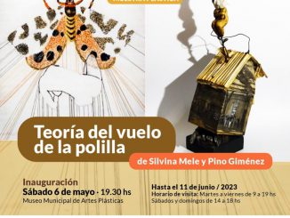 Muestra Teoria del vuelo de la polilla