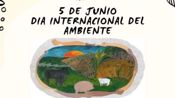 Dia Mundial del Medio Ambiente - Figure 1