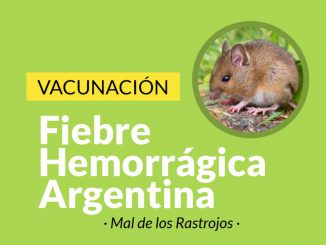 Vacunacion Fiebre Hemorragica 1