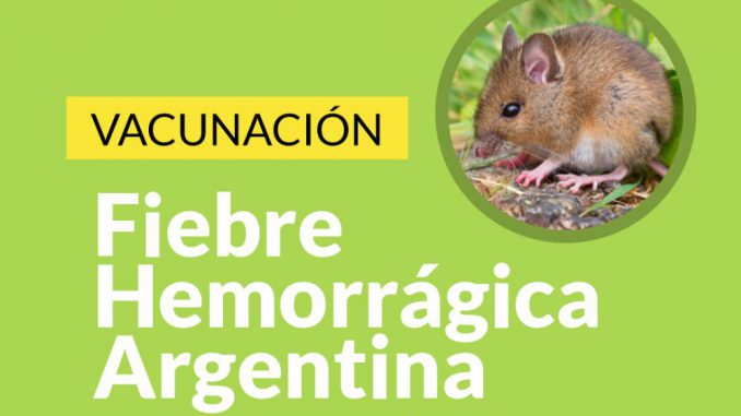 Vacunacion Fiebre Hemorragica 1