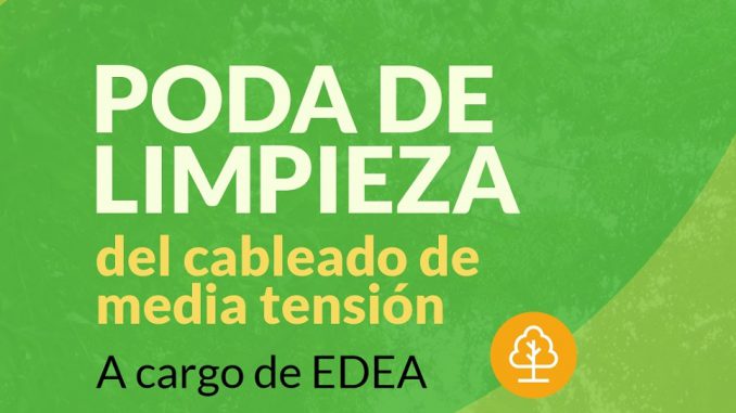 Poda de Limpieza 1