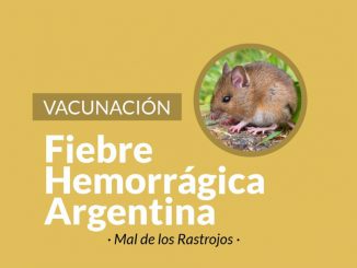 Vacunacion Fiebre Hemorragica 6 de julio 1