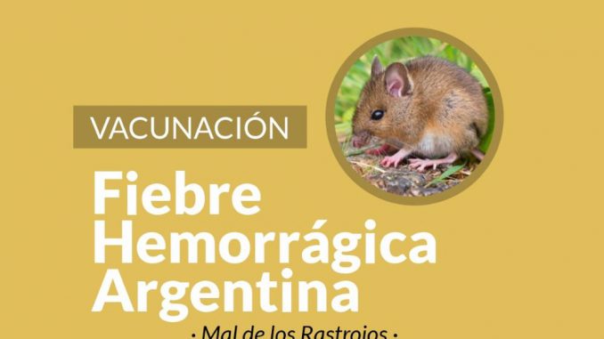 Vacunacion Fiebre Hemorragica 6 de julio 1