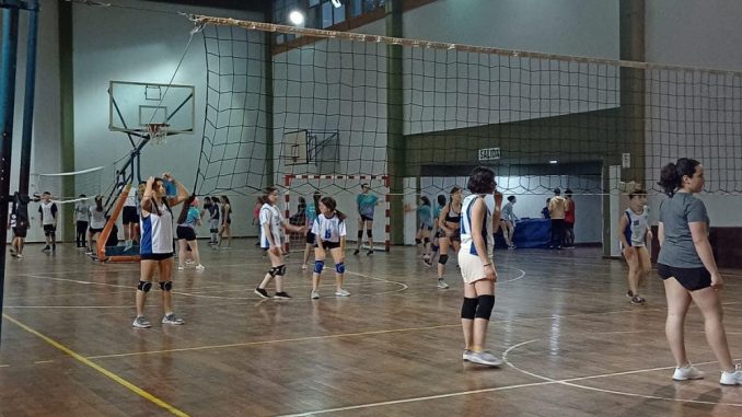 Voley