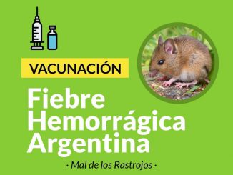 Fiebre Hemorragica