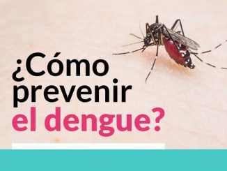 dengue1
