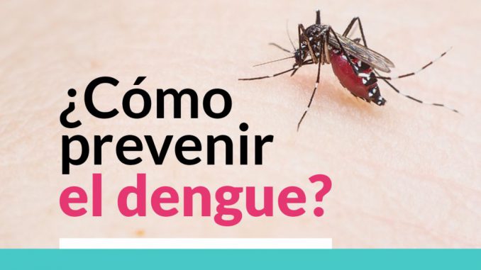 dengue1
