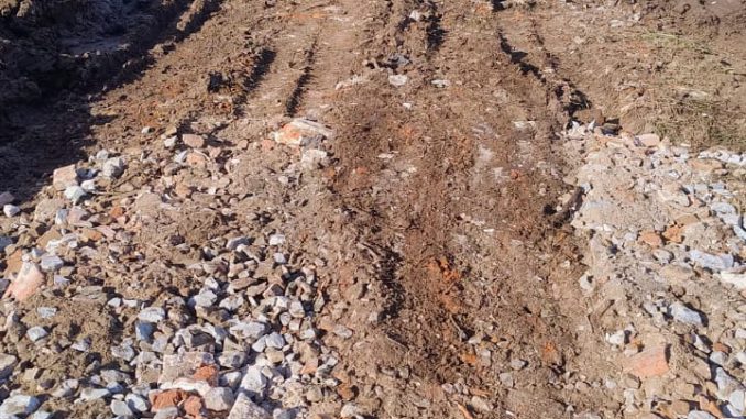 WhatsApp Image 2025-11-01 at 11.36.09