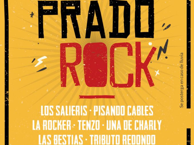 WhatsApp Image 2025-11-12 at 12.10.51