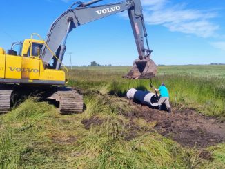 WhatsApp Image 2025-12-10 at 16.20.22