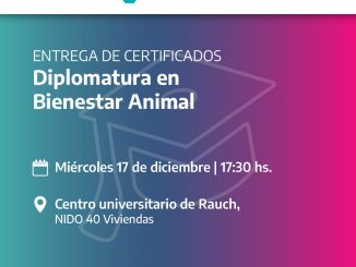 WhatsApp Image 2025-12-16 at 12.38.38