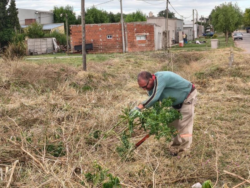 Avanzan trabajos de mantenimiento en espacios verdes y limpieza de ...