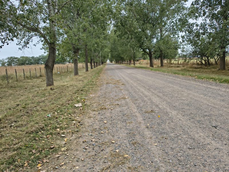 WhatsApp Image 2026-03-06 at 10.54.36