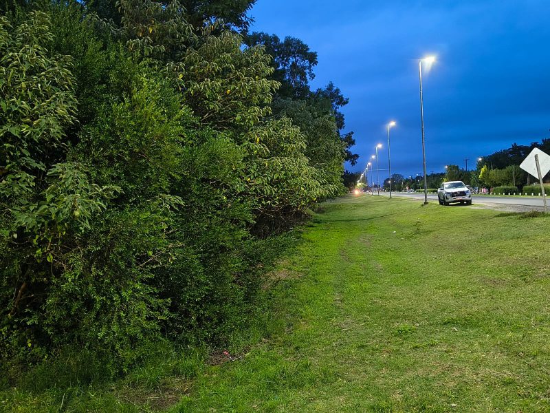 WhatsApp Image 2026-03-06 at 10.55.20