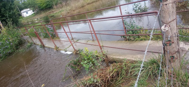 WhatsApp Image 2026-03-30 at 08.59.04