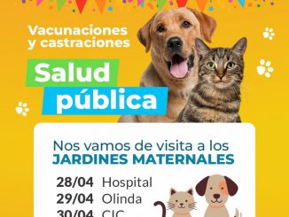 WhatsApp Image 2026-04-27 at 10.37.14