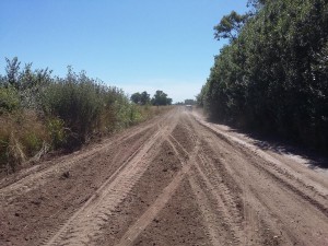 Camino Udaquiola 1