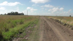 Camino El Albardon