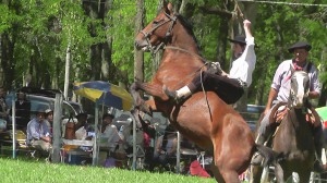 Jineteada 2016