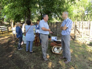 Muestra Ovina 2016 (3)