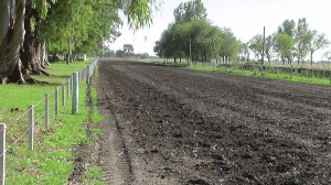 Parque Juan Silva (1)