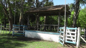 Parque Juan Silva (2)