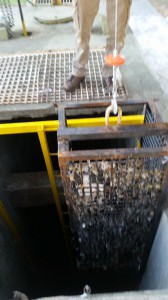 planta001