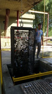 planta008