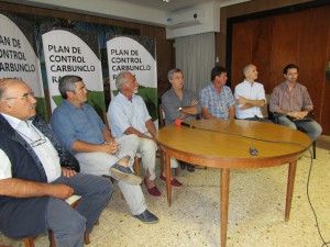 Plan Carbunclo (2)