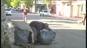 bolsas